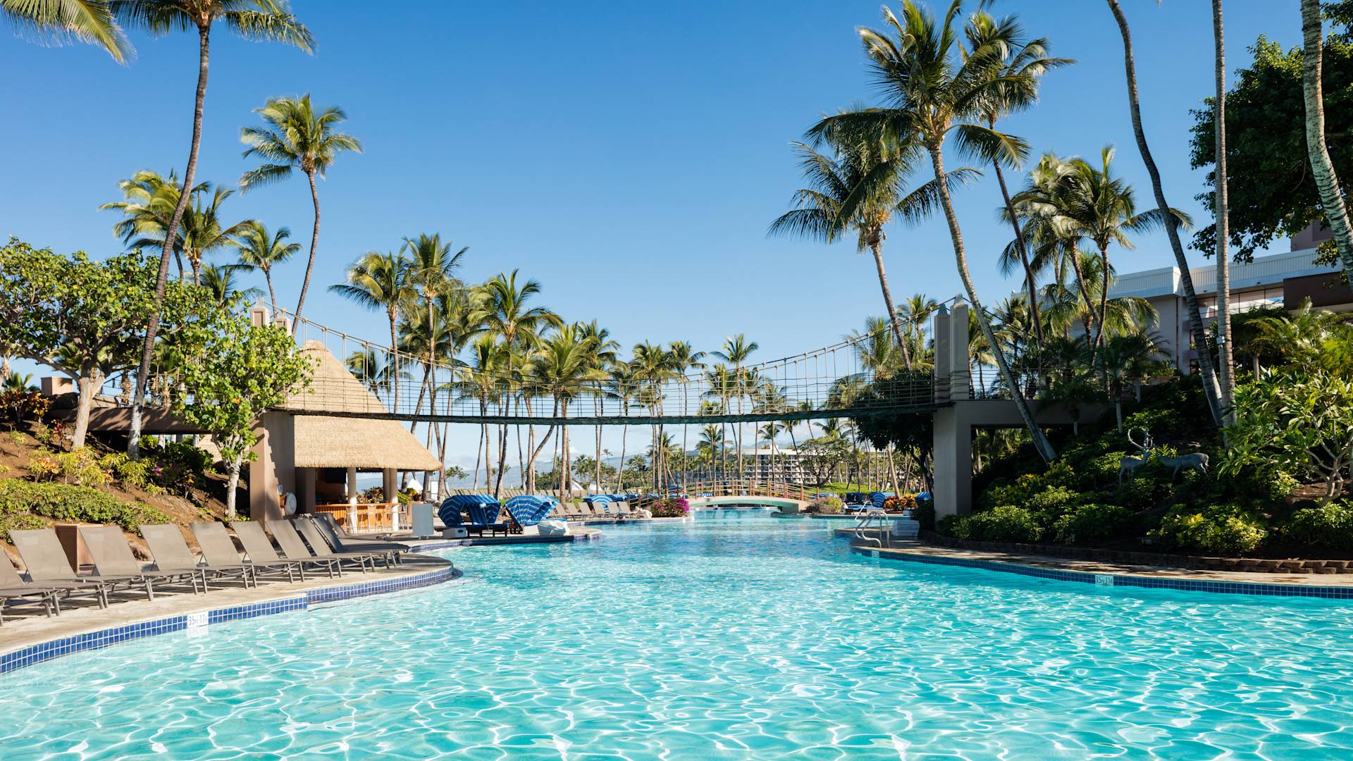 Summer Fun | Hilton Waikoloa Village Hawaii Resort